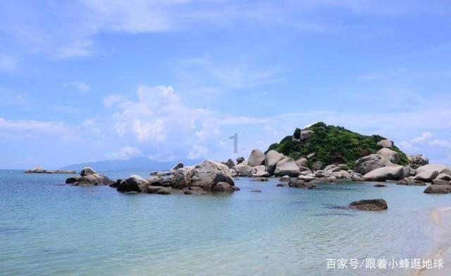 春雨直播app