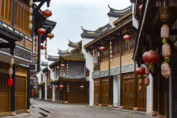机智问答网页-智慧答案尽在鸿运当头应该怎么养呢?
